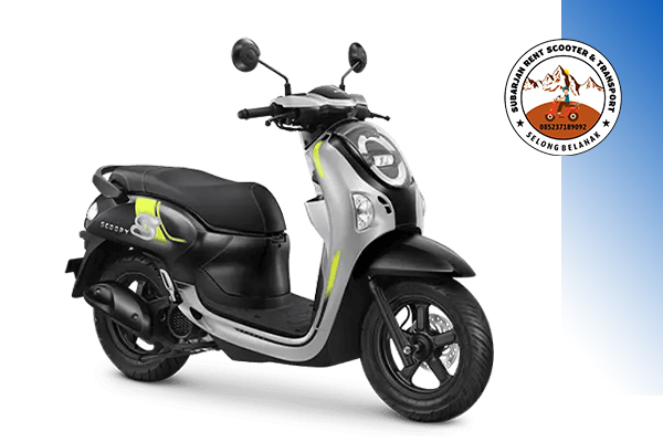 rent-scooter--Scoopy-Honda-110cc